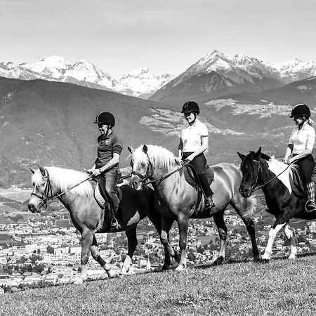 Widmannhof - Urlaub Auf Dem Biobauernhof Villa Brixen Buitenkant foto