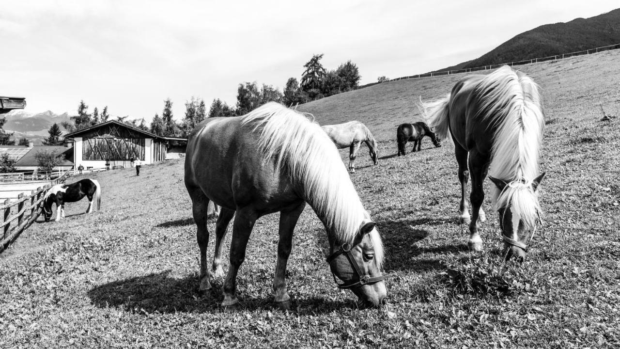 Widmannhof - Urlaub Auf Dem Biobauernhof Villa Brixen Buitenkant foto