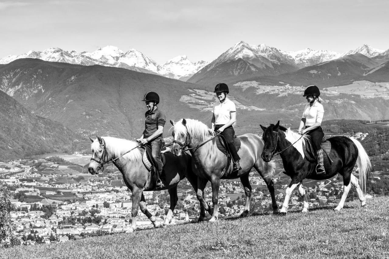 Widmannhof - Urlaub Auf Dem Biobauernhof Villa Brixen Buitenkant foto