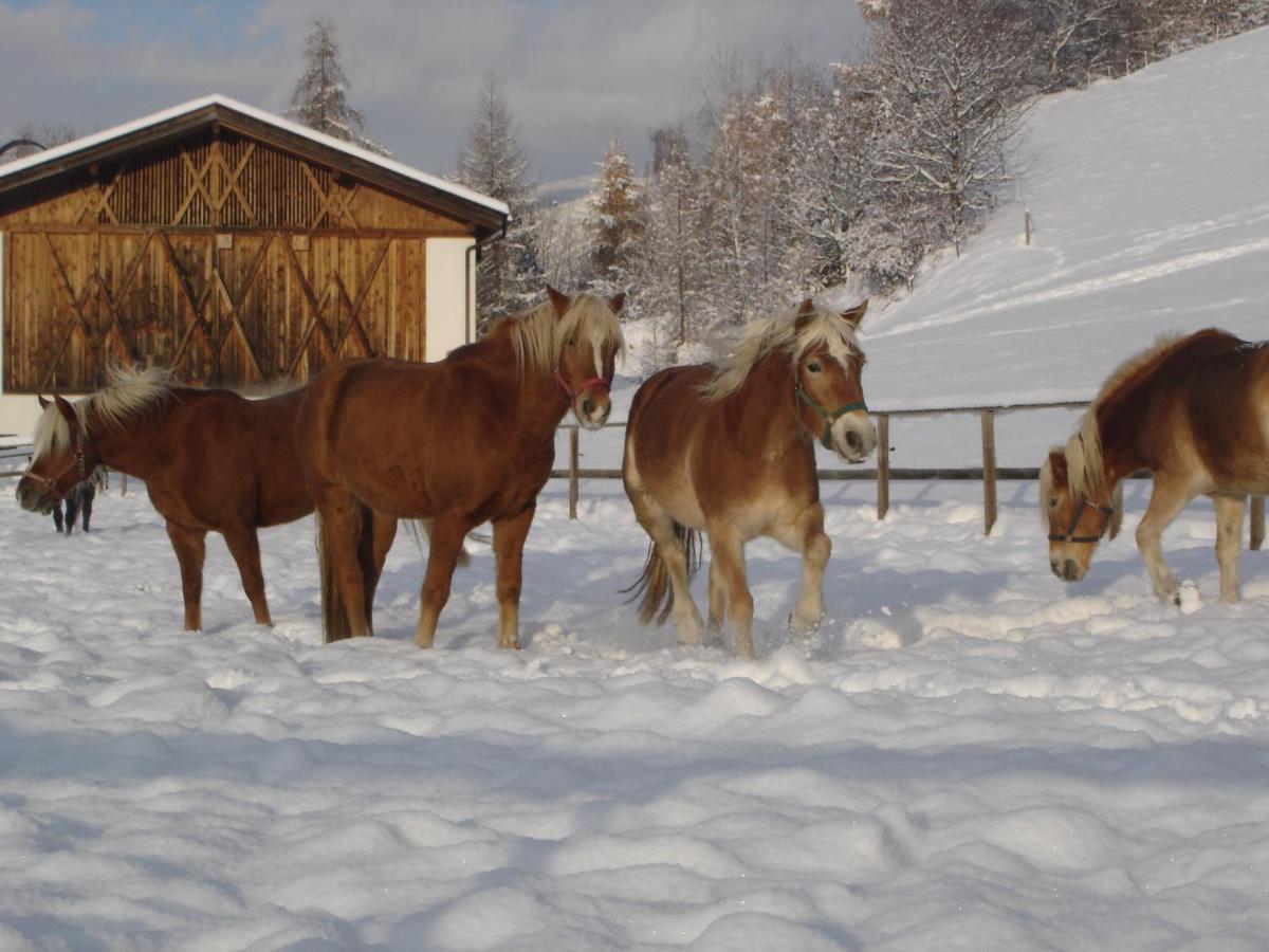 Widmannhof - Urlaub Auf Dem Biobauernhof Villa Brixen Buitenkant foto